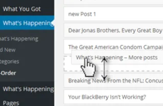 Post Types Order Plugin zum sortieren von Wordpress Beiträgen